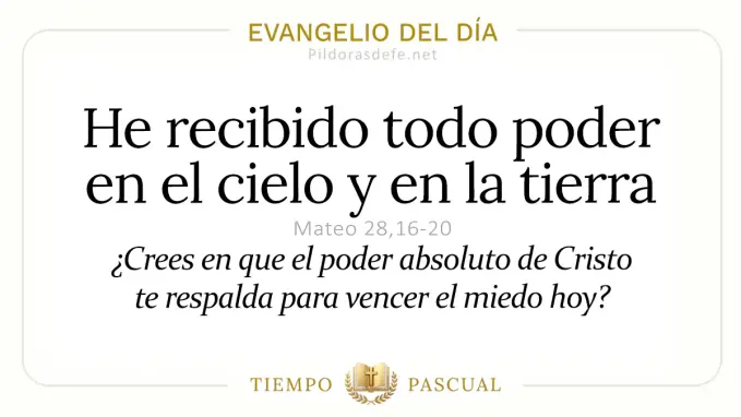 Evangelio del dia Domingo Mateo    He recibido poder cielo y tierra  may 